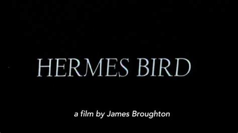 hermes bird movie free online|Hermes Bird (1979): Where to Watch and Stream Online.